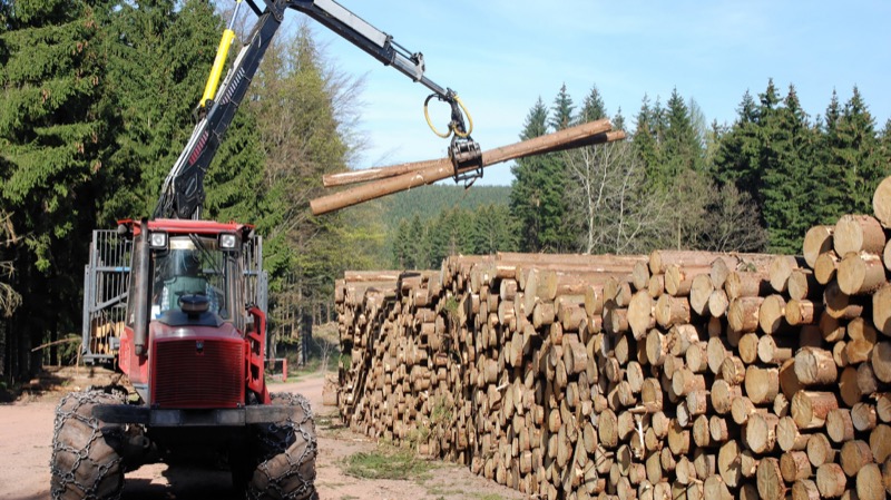 Forestal